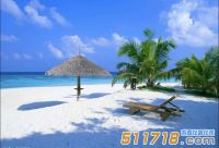 华仪通泰关于团建活动通知