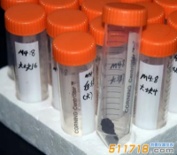 仪器探究新发现 周代化妆品含植物精油