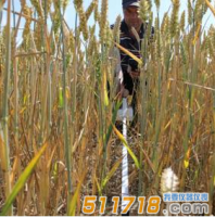 英国Delta-T Devices  SunScan专业版植物冠层分析仪