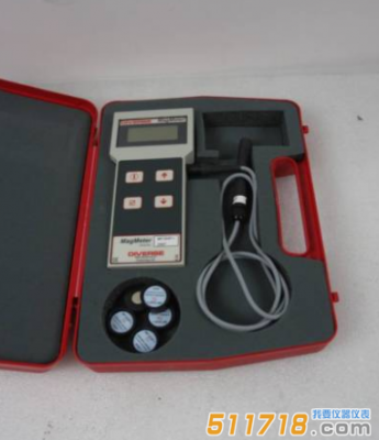 英国DIVERSE MF300Fe+铁素测量仪