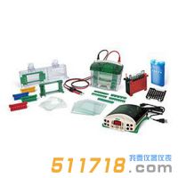 美国伯乐Bio-Rad 1658033垂直电泳转印系统套装