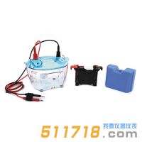 北京六一 DYCZ-40K 转印电泳仪