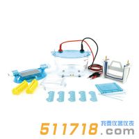 北京六一 DYCZ-24K、DYCZ-24KS型双板垂直电泳仪