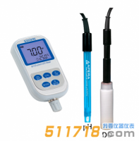 SX725便携式pH/溶解氧仪