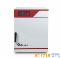 BGZ-306电热鼓风干燥箱