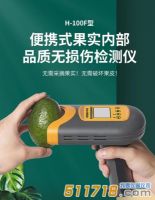 国产H-100F无损检测仪