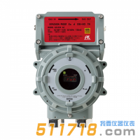 日本理研GD-D58耐压防爆型吸引式气体检测仪