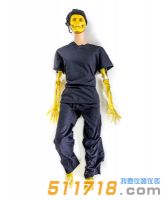 美国RSD Take-Apart Pixy模体