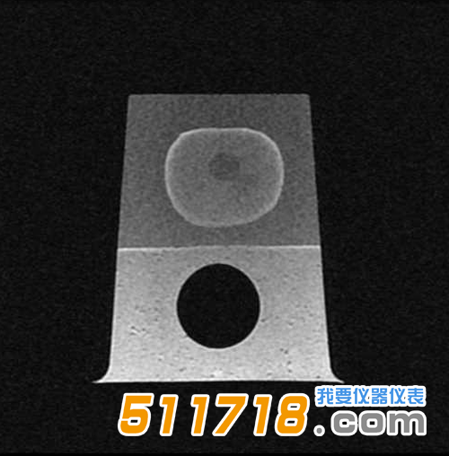 1534989827203988.png 美国CIRS 053S 053L 053L-EF前列腺MRI测试体模5.png