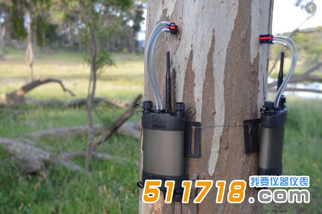 SFM1 Sap植物茎流计.jpg