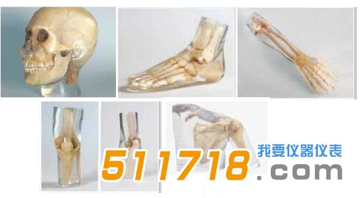 德国QUART全身X射线模体.jpg 德国QUART全身X射线模体.jpg